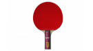 Ракетка Gambler FIRE DRAGON VOLT M (прямая) Ракетка Gambler FIRE DRAGON VOLT M (прямая)